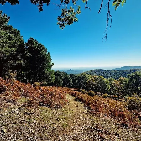 Σπίτι διακοπών Bonita Casa En El Bosque - El Tiemblo