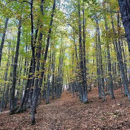 Bonita Casa En El Bosque - Дом отдыха Эль-Тьембло