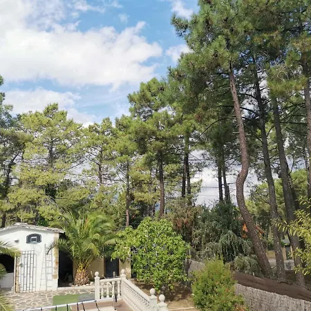 Bonita Casa En El Bosque - *