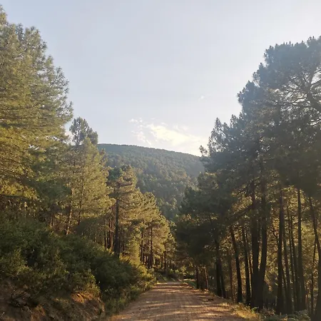 Bonita Casa En El Bosque - El Tiemblo