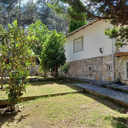 Bonita Casa En El Bosque -