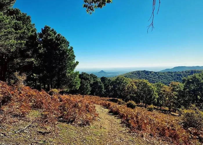 Сasa de vacaciones Bonita Casa En El Bosque - El Tiemblo