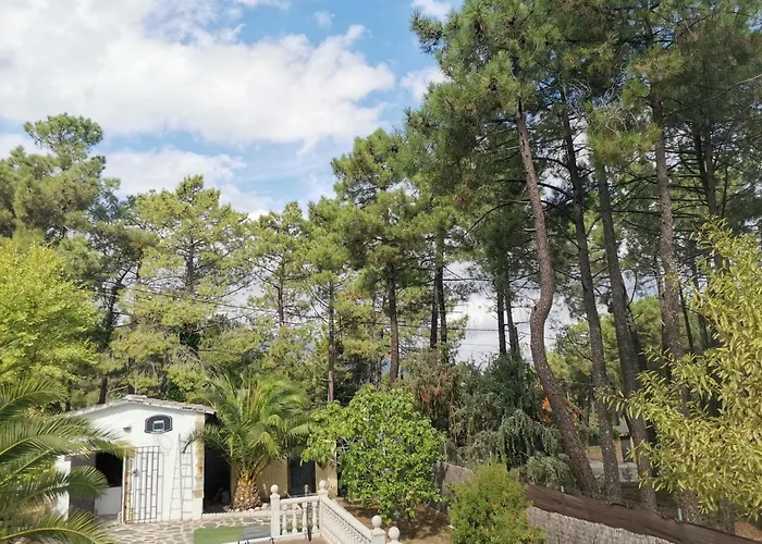 Bonita Casa En El Bosque - *