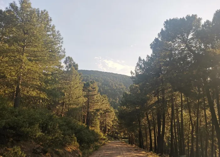 Bonita Casa En El Bosque - El Tiemblo