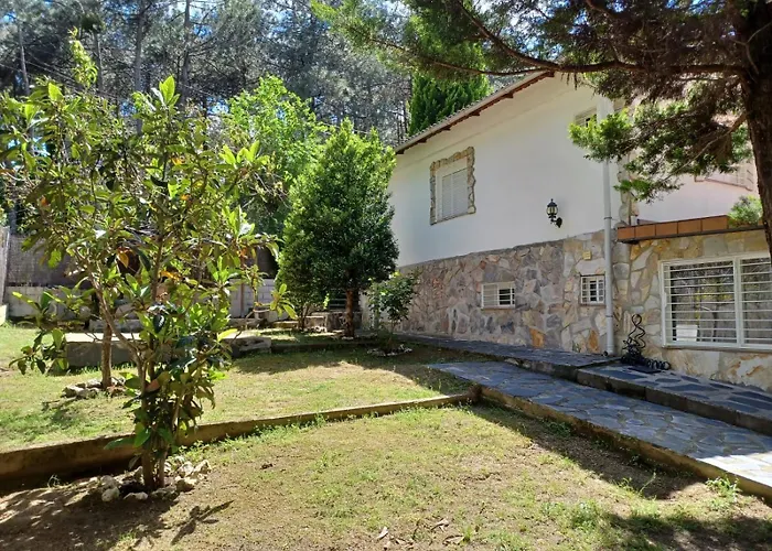 Bonita Casa En El Bosque -